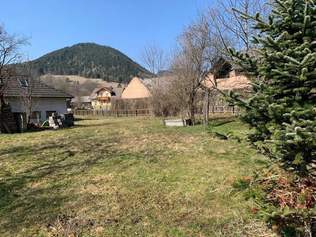 Haus – Puchberg am Schneeberg, Sierning, Katastralgemeinde Stolzenwörth - Ansicht 3