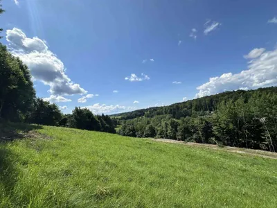 Haus kaufen in Deutschlandsberg – 8 697 m², € 869.000 – Bild 7 von 11