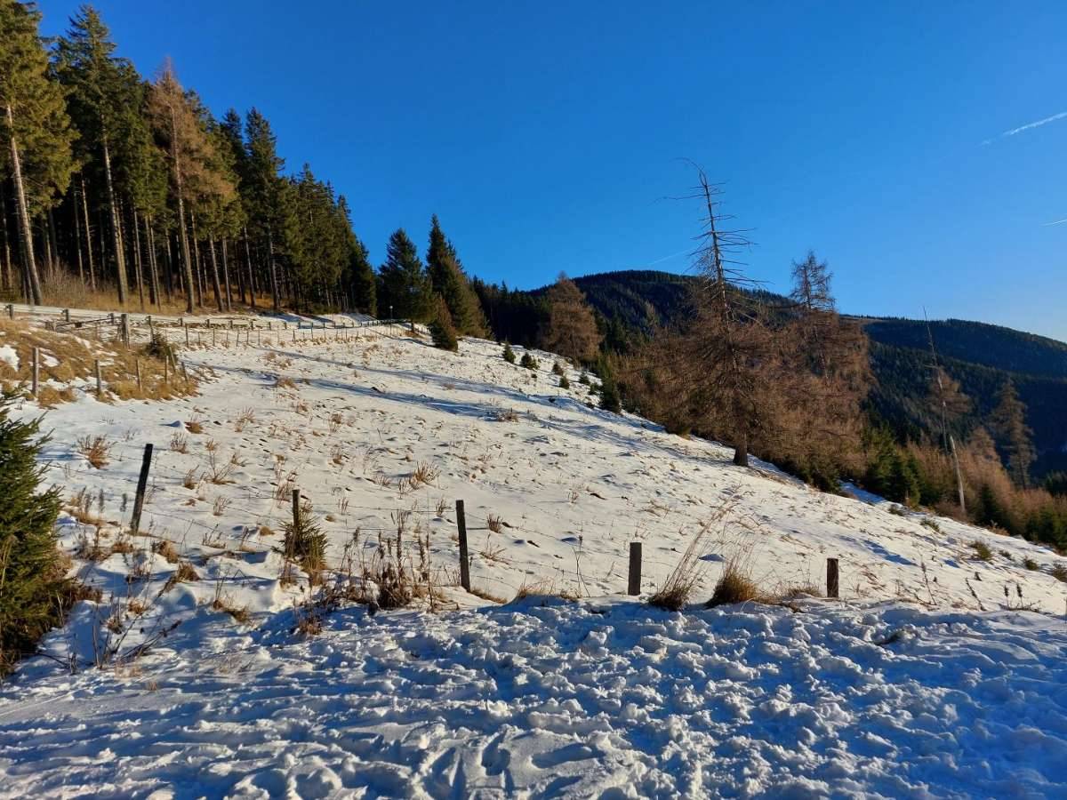 Bauland Kurgebiet und Grünland auf der Koralm, Wolfsberg