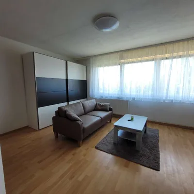 1-Zimmer-Wohnung mieten in Wels – 44 m², € 630 – Bild 4 von 11