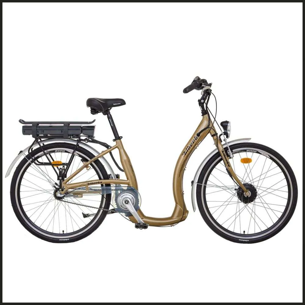 träger für fahrradtaschen Pjeghbvop Rack Montagebasis mit vorderem Halterungsadapter, Fahrradträger, Block, faltbares Fahrrad vorne Sport & Freizeit Qeridoo Hängematte Montage Arroyo E-Bike Gazelle Farben:Pink-Weiss