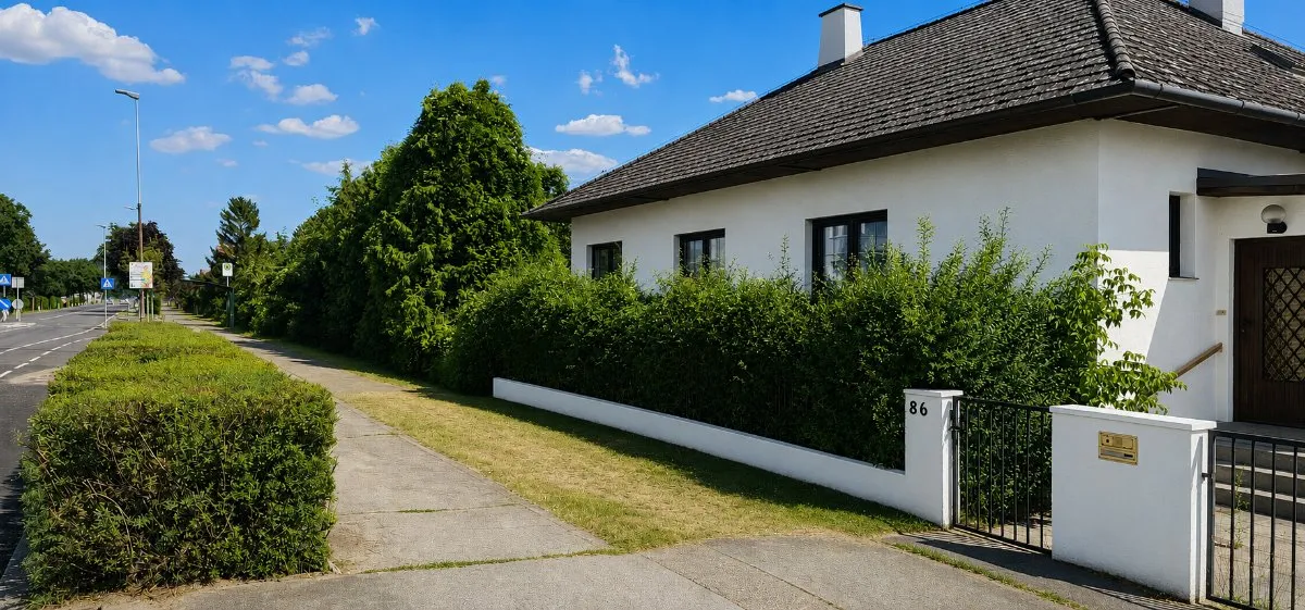 Raus aus der Hitze der Stadt, rein ins kühle Grüne! - Ansicht 3