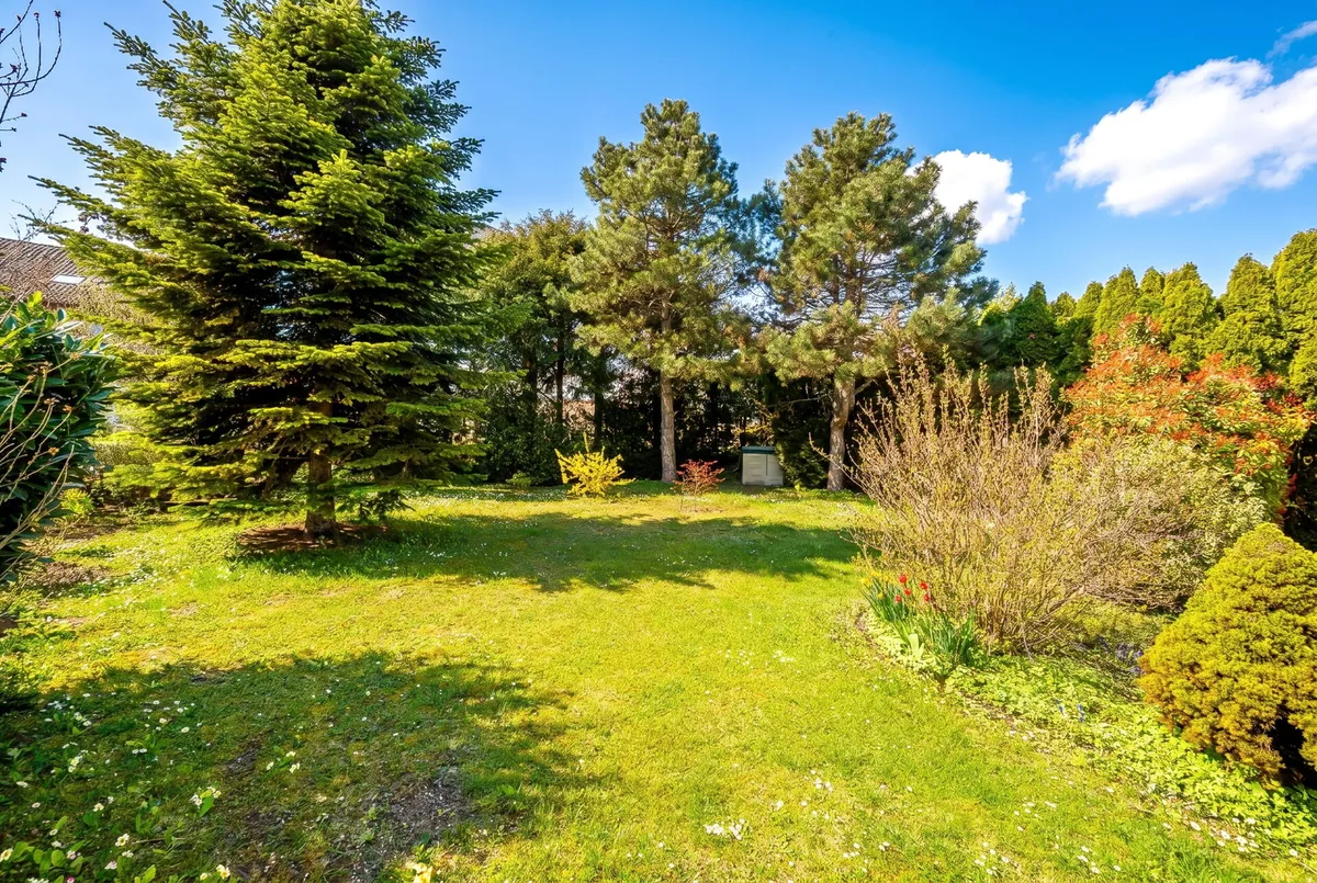 Geheimtipp: Einfamilienhaus mit großem Garten, Pool & viel Potenzial - Widok 3