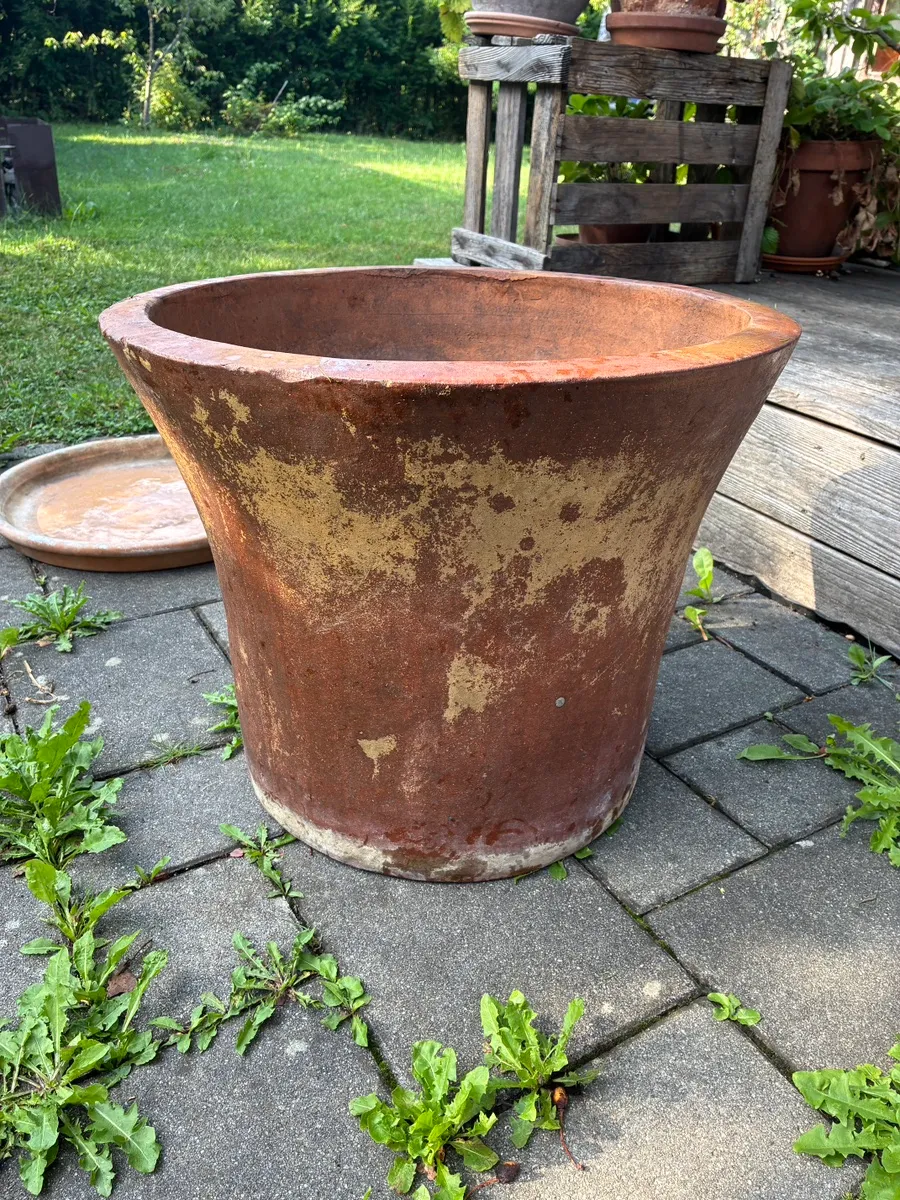 Frostsicherer Tontopf mit Untersetzer, € 0,- (8045 Andritz)