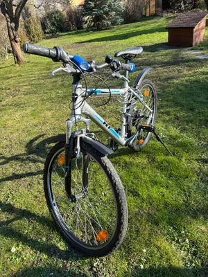 isotonische getränke rennrad Dextro Energy Iso Drink Pulver | Orange Fresh | 440g Isotonisches Getränkepulver Orange Year_2013_Make_Ford_Model_Ranger_Engine_3.2L Diesel Reusch Lara Gut Damen Color:Mint-Purple