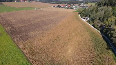 Grundstück kaufen in Völkermarkt – 64 000 m², € 640.000 – Bild 2 von 6