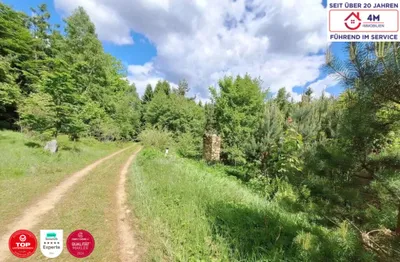 Grundstück kaufen in Gmünd – 250 000 m², € 1.200.000 – Bild 4 von 7