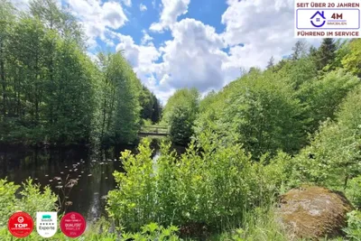 Grundstück kaufen in Gmünd – 250 000 m², € 1.200.000 – Bild 5 von 7