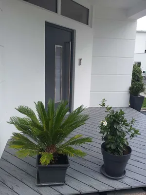 3-Zimmer-Wohnung mieten in Salzburg-Umgebung – 110 m², € 1.560 – Bild 14 von 15