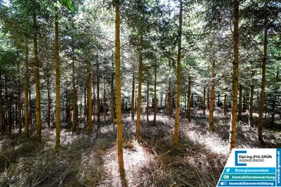 Grundstück kaufen in Schärding – 25 797 m², € 198.000 – Bild 14 von 16