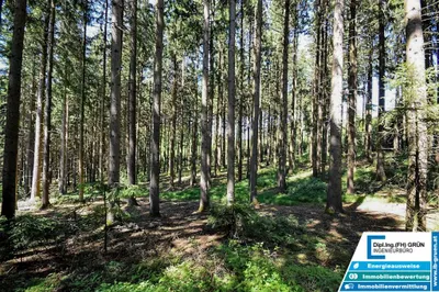 Grundstück kaufen in Schärding – 25 797 m², € 198.000 – Bild 12 von 16