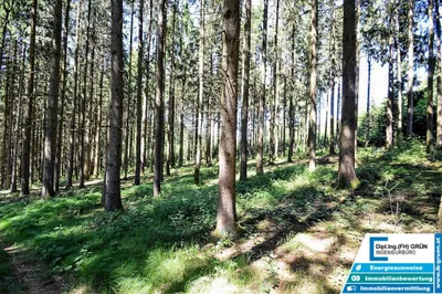 Grundstück kaufen in Schärding – 25 797 m², € 198.000 – Bild 10 von 16
