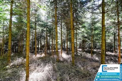 Grundstück kaufen in Schärding – 25 797 m², € 198.000 – Bild 15 von 16