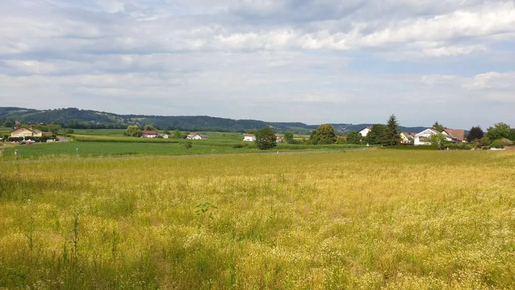 Bauplatz in 8350 Fehring (Südoststeiermark) - Ansicht 3
