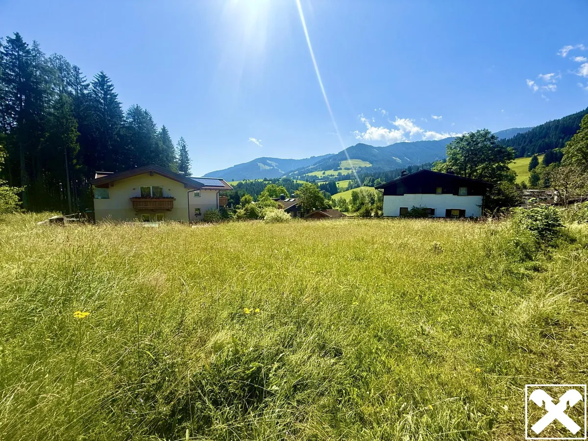 Exklusives Hanggrundstück in sonniger Lage - Ansicht 2