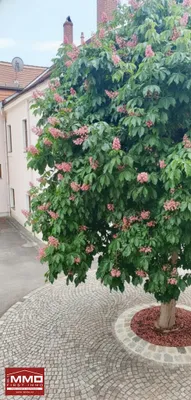 3-Zimmer-Wohnung mieten in Krems an der Donau – 90 m², € 1.295 – Bild 17 von 22