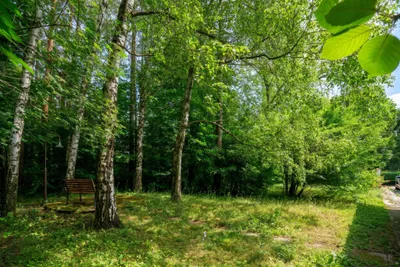 Grundstück kaufen in Sankt Pölten Land – 2 656 m², € 995.000 – Bild 8 von 10