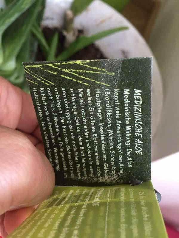 aloe vera gel bei insektenstichen MABYEN Baby & Kids Insektenstich-Gel main image 0