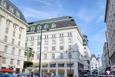 7-Zimmer-Wohnung kaufen in Wien – 390,23 m², € 9.770.000 – Bild 38 von 44