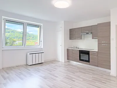 1-Zimmer-Wohnung kaufen in Linz – 31 m², € 125.000 – Bild 3 von 10