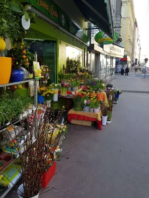 Gewerbeimmobilie mieten in Wien – 90 m², € 1.535 – Bild 14 von 18