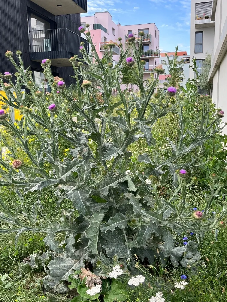 Mit weitem Blick, moderne Wohnung beim Rosenhügel – pohled 3