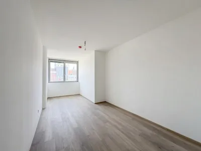 Praktischer 2-Zimmer-Erstbezug mit Kühlung gleich bei U4/U6 – Bild 3