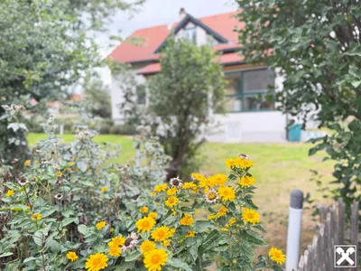 4-Zimmer-Haus kaufen in Melk – 165 m², € 313.040 – Bild 8 von 56