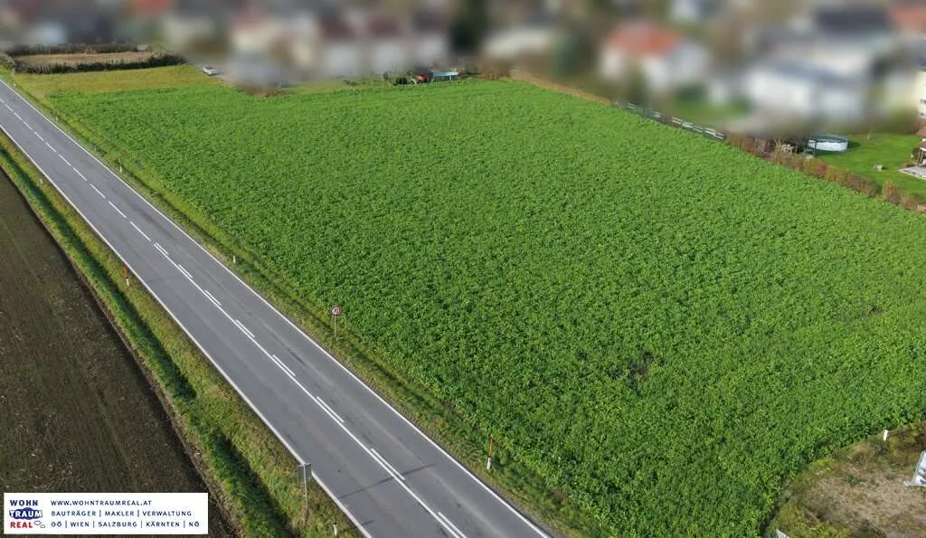 INVESTMENT-CHANCE in TOPLAGE Schönering - Ansicht 2