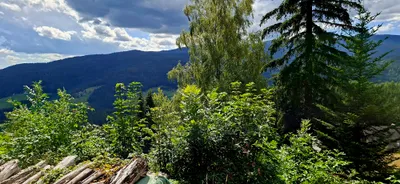 Grundstück kaufen in Deutschlandsberg – 1 263 m², € 59.500 – Bild 4 von 5