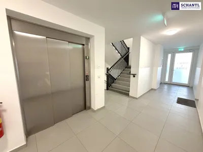 3-Zimmer-Wohnung kaufen in Wien – 96,1 m², € 468.000 – Bild 17 von 19