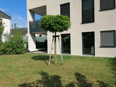 4-Zimmer-Wohnung mieten in Wels-Land – 90 m², € 1.900 – Bild 19 von 23