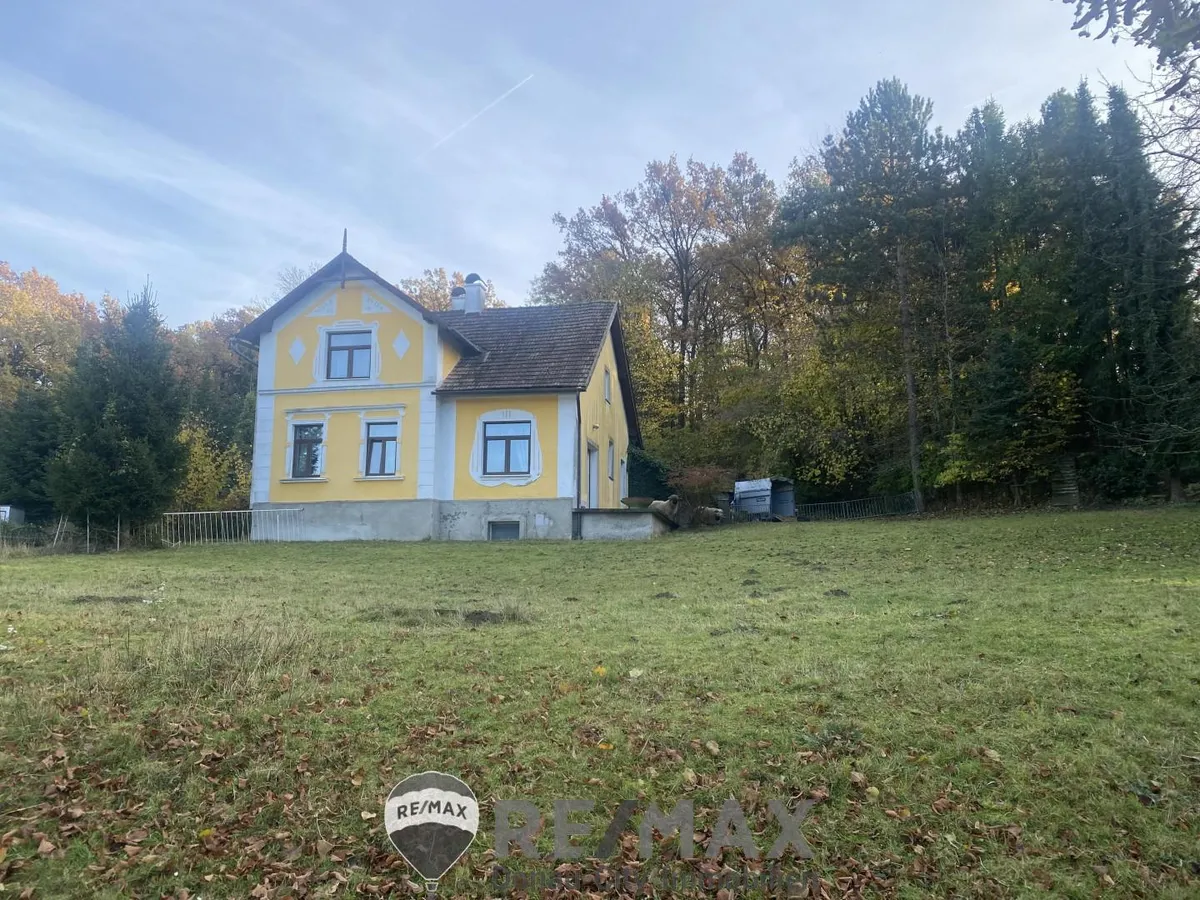 "Jahrhundertwende Stilhaus mit Wald" - Radharc 2