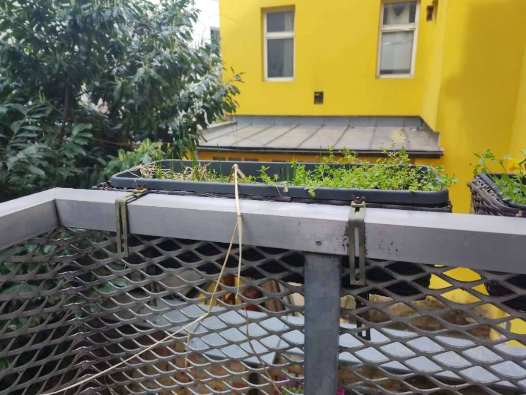blumenkasten luft ber Beton Blumenkasten grau, lnglich