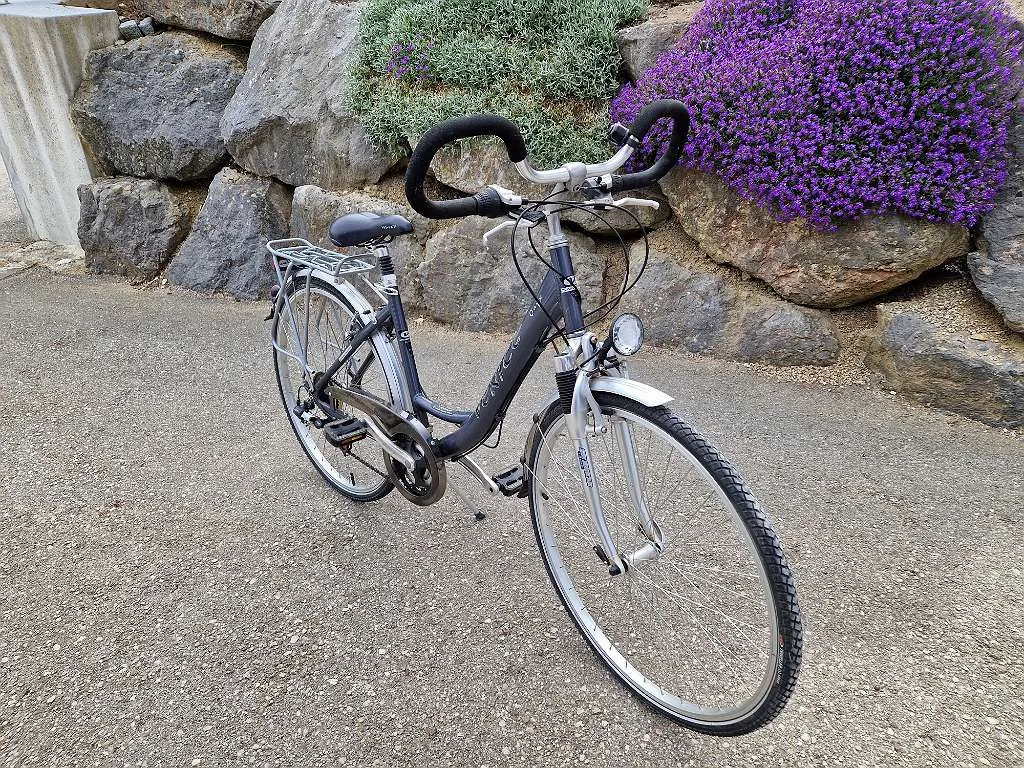 gazelle fahrrad orange C8+ – 400 Wh, Herren ARK - How to Lebensmittel/Süßspeisen Varients:M10 Black