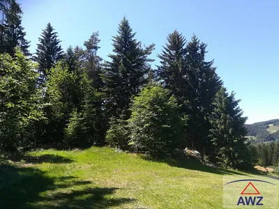 Grundstück kaufen in Zwettl – 130 000 m²