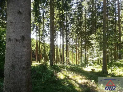 Grundstück kaufen in Zwettl – 130 000 m² – Bild 2 von 4