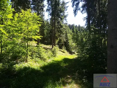 Grundstück kaufen in Zwettl – 130 000 m² – Bild 3 von 4