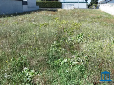 Grundstück kaufen in Eisenstadt - Umgebung – 1 026 m², € 185.000 – Bild 3 von 3