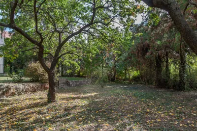 Haus kaufen in Neusiedl am See – 95 m², € 535.000 – Bild 7 von 28