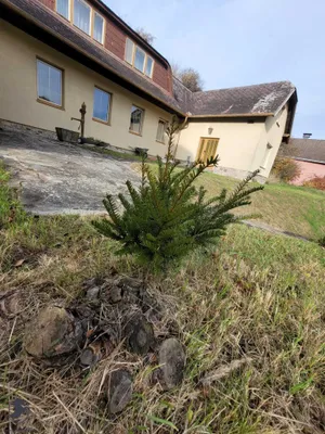 8-Zimmer-Gewerbeimmobilie kaufen in Krems Land – 297 m², € 379.000 – Bild 10 von 43
