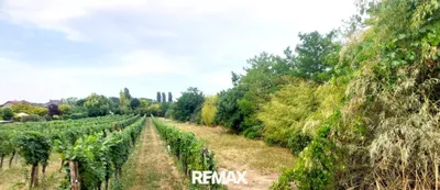 Grundstück kaufen in Neusiedl am See – 800 m², € 260.000 – Bild 2 von 3