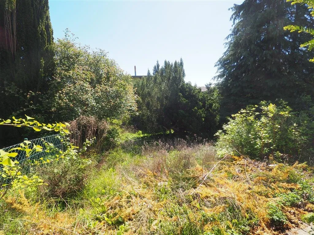EIGENGRUND - KLEINGARTEN – pohled 3