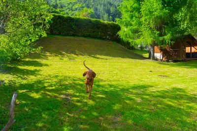 Grundstück kaufen in Villach – 563 m², € 2.000.000 – Bild 6 von 12