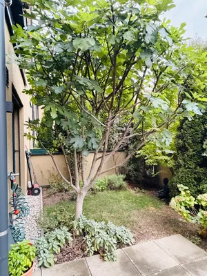 3-Zimmer-Wohnung mieten in Salzburg Stadt – 63 m², € 1.685 – Bild 15 von 16