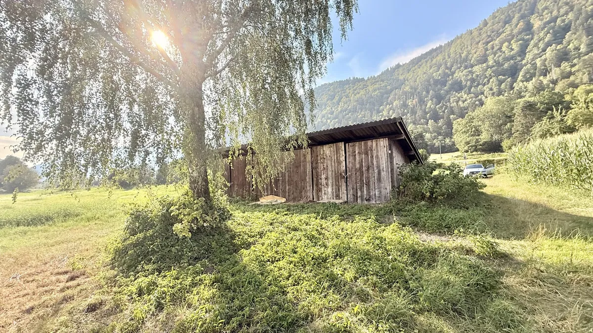 Steindorf / Ossiacher See: schöne landwirtschaftliche Fläche (kein Bauland!) - Ansicht 3