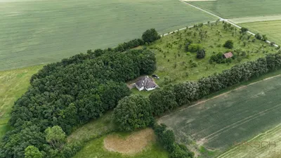 Haus kaufen in Horn – 141 m², € 449.000 – Bild 5 von 20