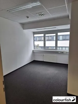 Gewerbeimmobilie mieten in Wien – 260 m², € 4.901 – Bild 4 von 8