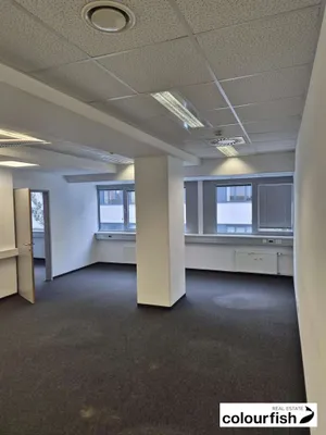 Gewerbeimmobilie mieten in Wien – 260 m², € 4.901 – Bild 5 von 8