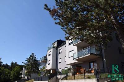 Herrliche Aussicht beim Hörndlwald - Exklusives Appartement - Grünruhelage – Bild 2